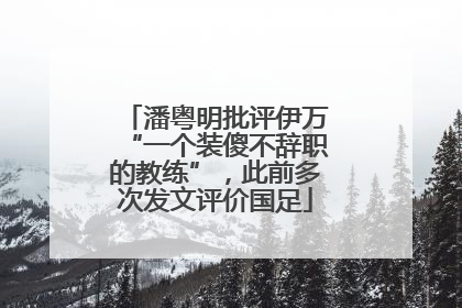 潘粤明批评伊万“一个装傻不辞职的教练”，此前多次发文评价国足