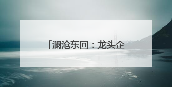 澜沧东回：龙头企业引领促民增收