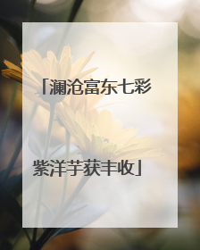 澜沧富东七彩紫洋芋获丰收