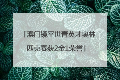 澳门镜平世青英才奥林匹克赛获2金1荣誉