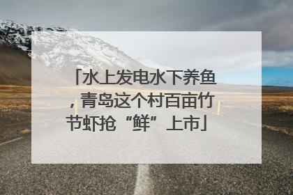 水上发电水下养鱼，青岛这个村百亩竹节虾抢“鲜”上市