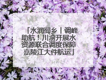 水润蜀乡丨调峰助航！川渝开展水资源联合调度保障嘉陵江大件航运