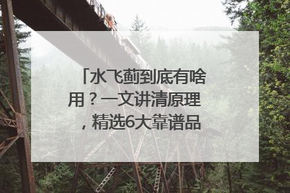 水飞蓟到底有啥用？一文讲清原理，精选6大靠谱品牌助你科学养生