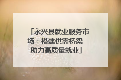 永兴县就业服务市场：搭建供需桥梁 助力高质量就业