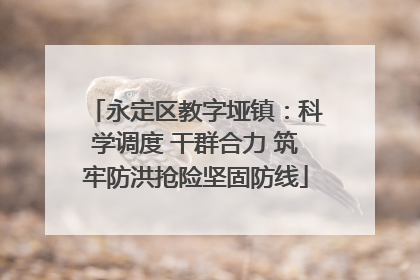 永定区教字垭镇：科学调度 干群合力 筑牢防洪抢险坚固防线