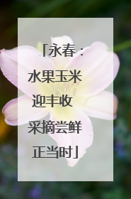 永春：水果玉米迎丰收 采摘尝鲜正当时