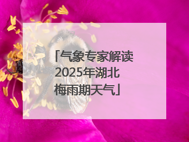 气象专家解读2025年湖北梅雨期天气