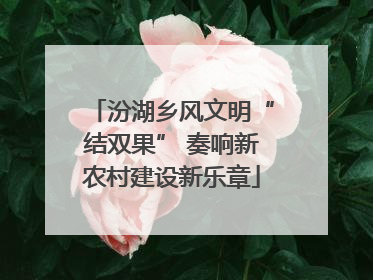 汾湖乡风文明“结双果” 奏响新农村建设新乐章