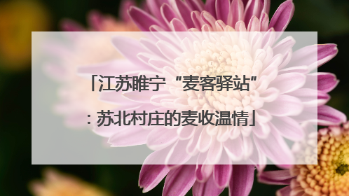 江苏睢宁“麦客驿站”：苏北村庄的麦收温情
