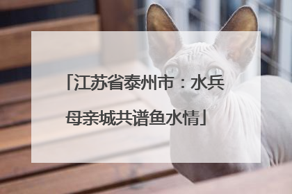 江苏省泰州市：水兵母亲城共谱鱼水情