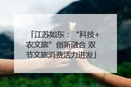 江苏如东：“科技+农文旅”创新融合 双节文旅消费活力迸发