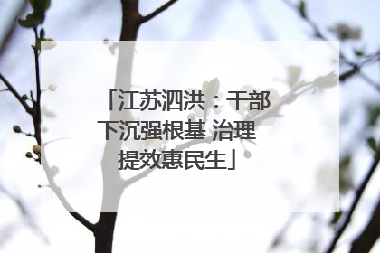 江苏泗洪：干部下沉强根基 治理提效惠民生