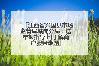 江西省兴国县市场监管局城岗分局：送年报指导上门 解商户服务难题