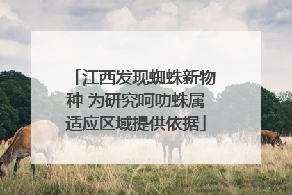 江西发现蜘蛛新物种 为研究呵叻蛛属适应区域提供依据