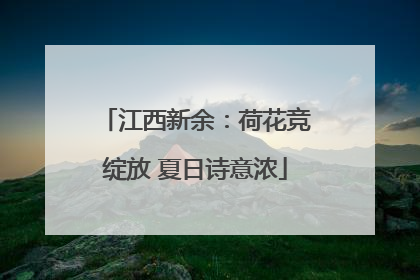 江西新余：荷花竞绽放 夏日诗意浓