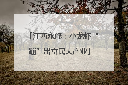 江西永修：小龙虾“蹦”出富民大产业
