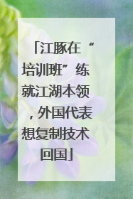 江豚在“培训班”练就江湖本领，外国代表想复制技术回国