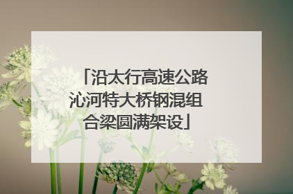 沿太行高速公路沁河特大桥钢混组合梁圆满架设