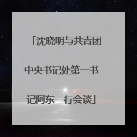 沈晓明与共青团中央书记处第一书记阿东一行会谈