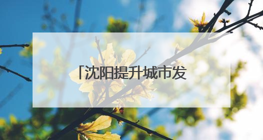 沈阳提升城市发展能级 建设现代化产业体系