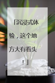 沉浸式体验，这个地方大有看头！