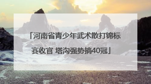 河南省青少年武术散打锦标赛收官 塔沟强势摘40冠