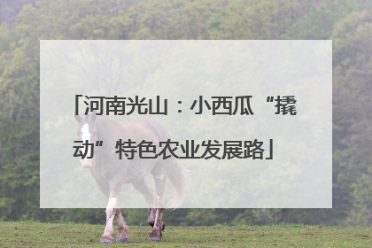 河南光山：小西瓜“撬动”特色农业发展路