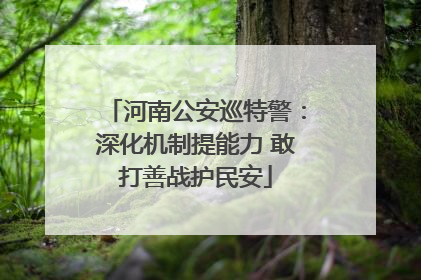 河南公安巡特警：深化机制提能力 敢打善战护民安