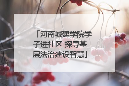 河南城建学院学子进社区 探寻基层法治建设智慧
