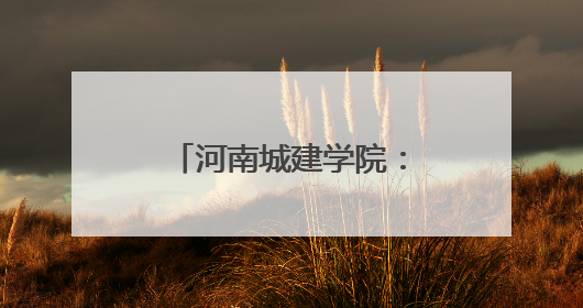 河南城建学院：凝聚党团力量 传递志愿温情
