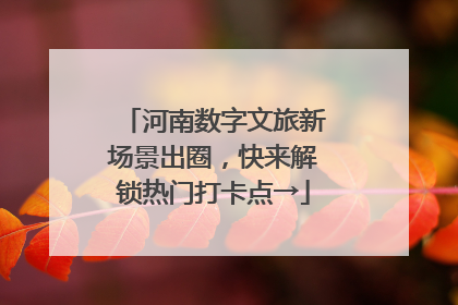 河南数字文旅新场景出圈，快来解锁热门打卡点→