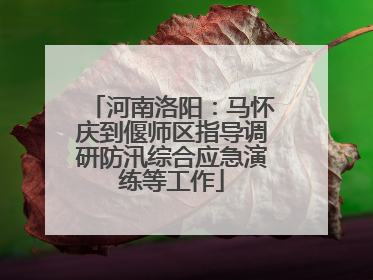 河南洛阳：马怀庆到偃师区指导调研防汛综合应急演练等工作