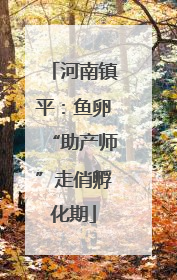 河南镇平：鱼卵“助产师”走俏孵化期