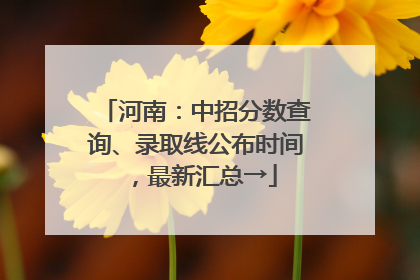 河南：中招分数查询、录取线公布时间，最新汇总→