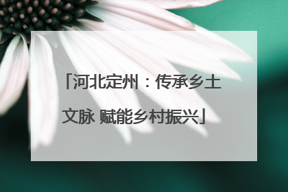 河北定州：传承乡土文脉 赋能乡村振兴