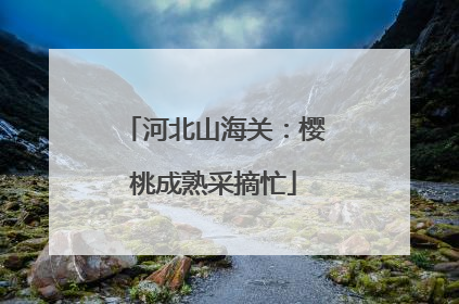 河北山海关：樱桃成熟采摘忙