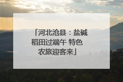 河北沧县：盐碱稻田过端午 特色农旅迎客来