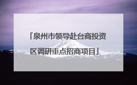 泉州市领导赴台商投资区调研重点招商项目