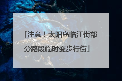注意！太阳岛临江街部分路段临时变步行街