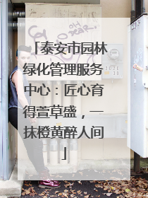 泰安市园林绿化管理服务中心：匠心育得萱草盛，一抹橙黄醉人间