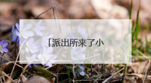 派出所来了小萌宠 还成了“反诈宣传员”