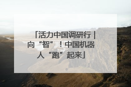 活力中国调研行｜向“智”！中国机器人“跑”起来