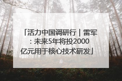 活力中国调研行｜雷军：未来5年将投2000亿元用于核心技术研发