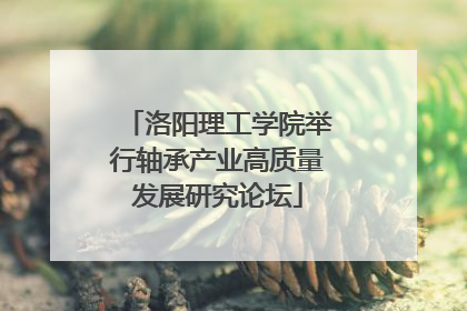 洛阳理工学院举行轴承产业高质量发展研究论坛