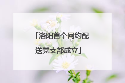 洛阳首个网约配送党支部成立