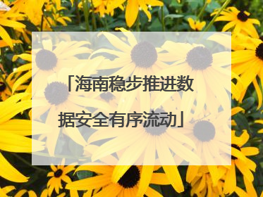 海南稳步推进数据安全有序流动