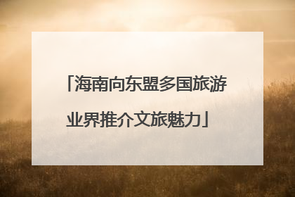 海南向东盟多国旅游业界推介文旅魅力