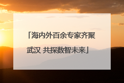 海内外百余专家齐聚武汉 共探数智未来