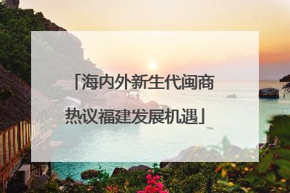 海内外新生代闽商热议福建发展机遇