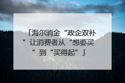 海尔消金“政企双补”让消费者从“想要买”到“买得起”